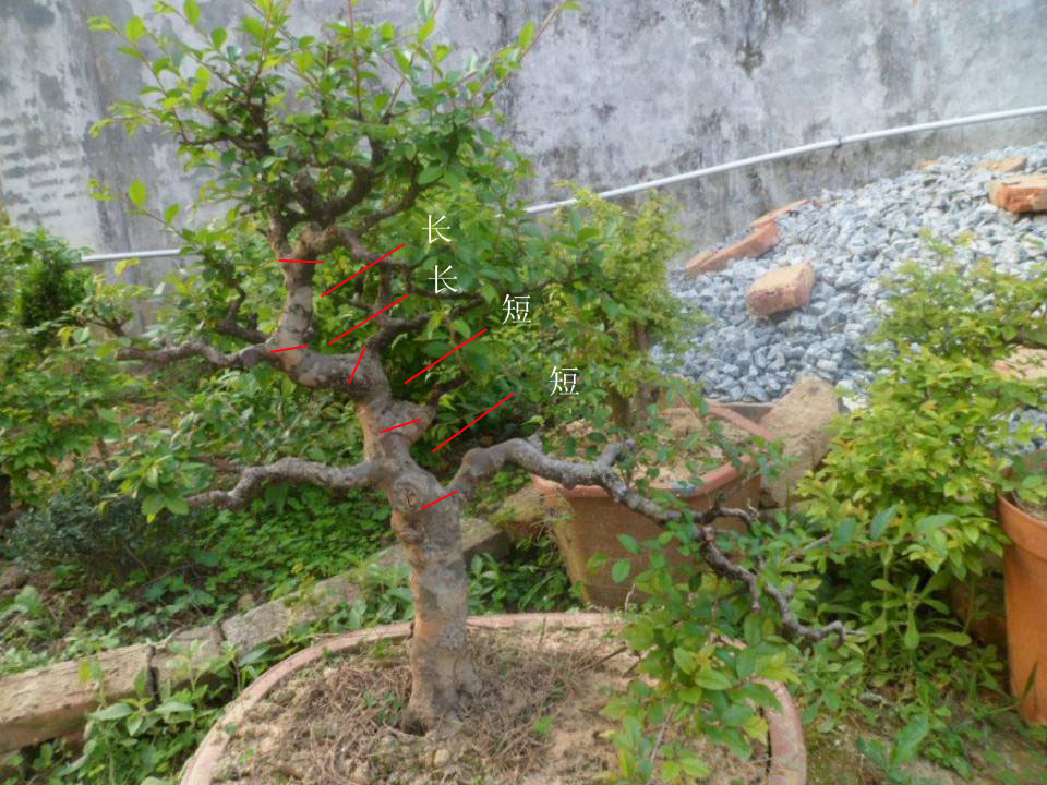 081104ftutztmqqt8mt9tx.jpg.thumb.jpg