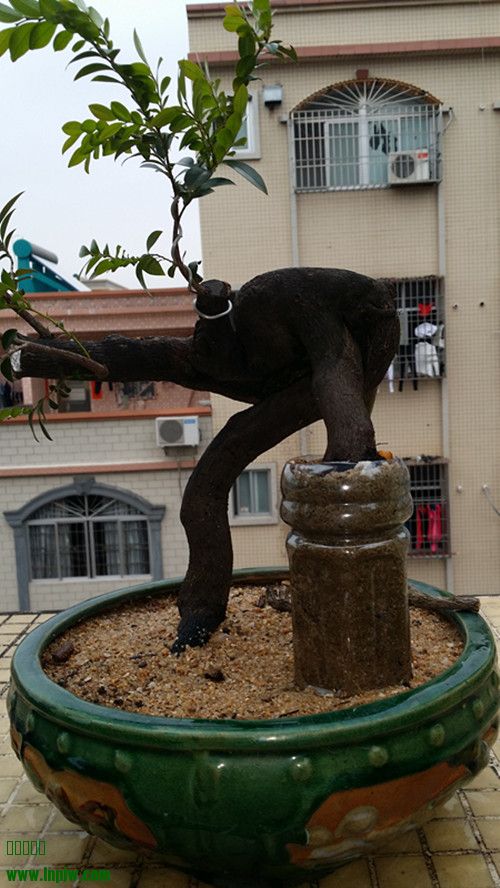 20140401_162102_.jpg