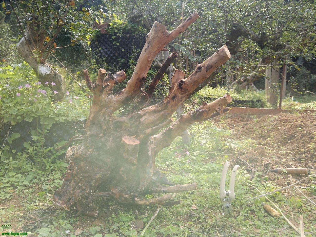 201403011874.jpg