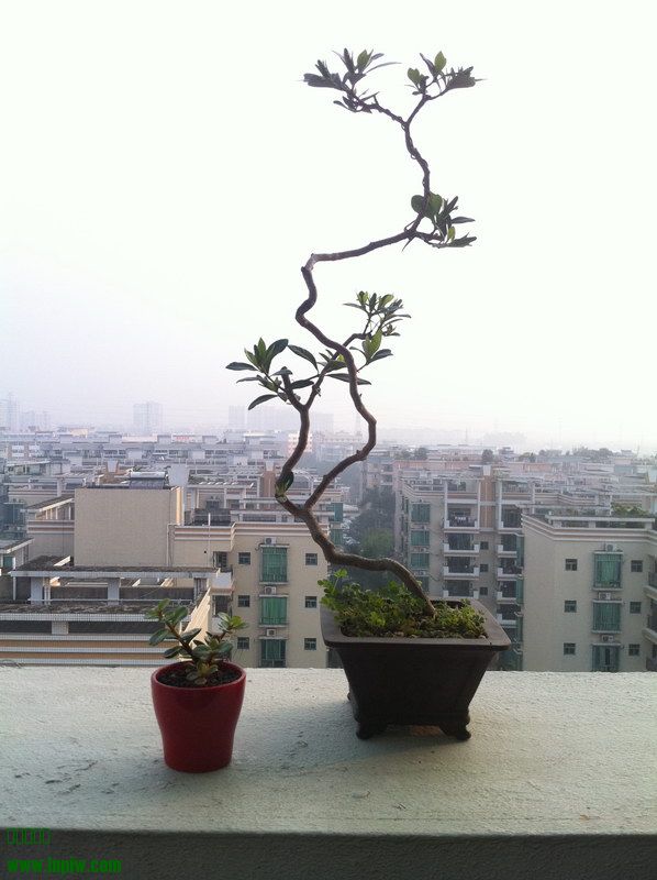 2014_02.JPG