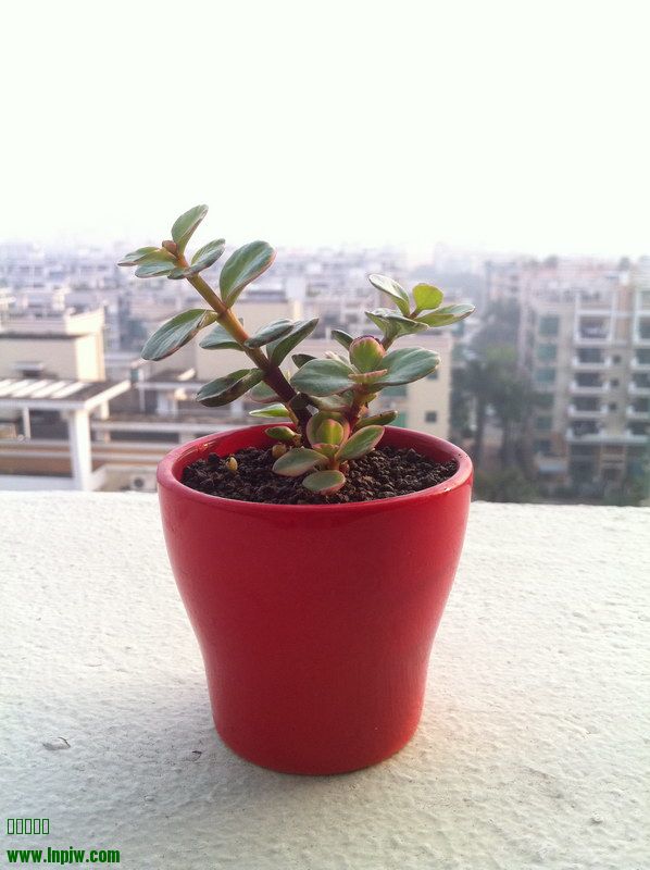 2014_03.JPG