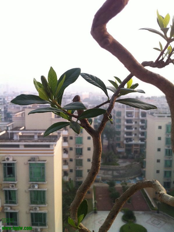 2014_04.JPG
