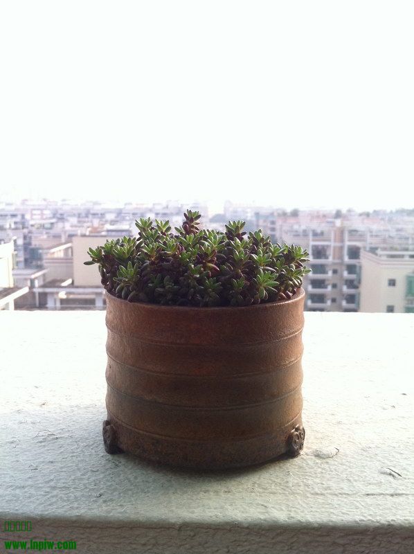 2014_06.JPG
