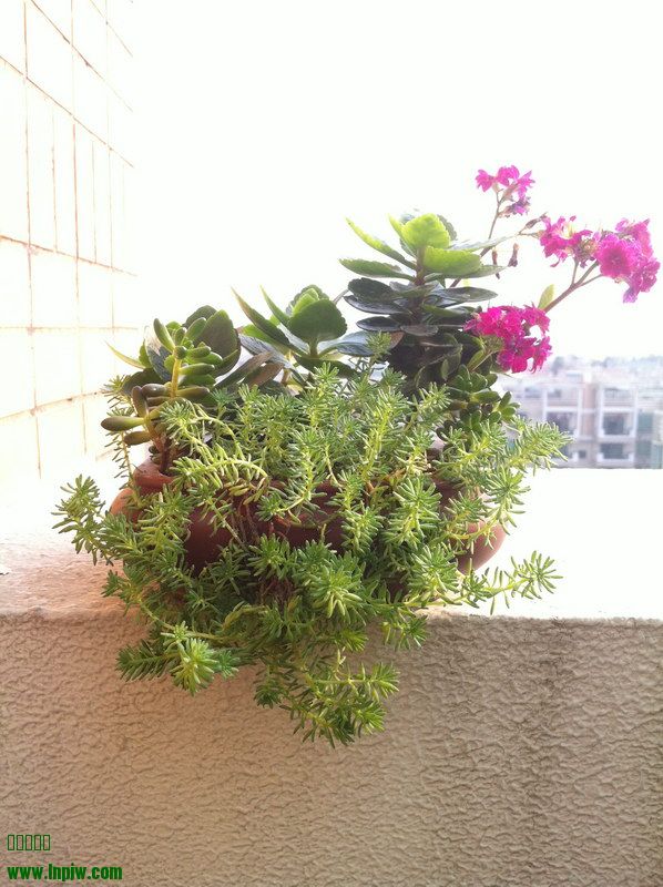 2014_07.JPG