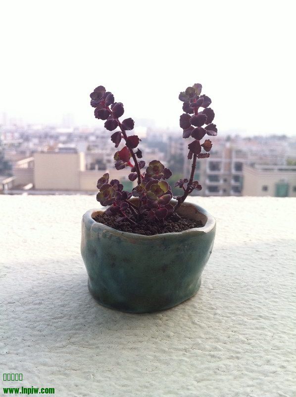 2014_08.JPG