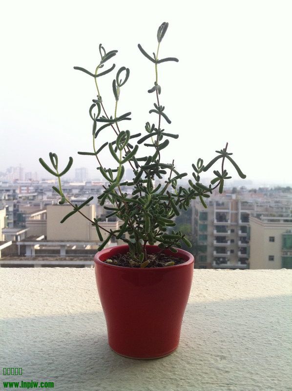 2014_09.JPG