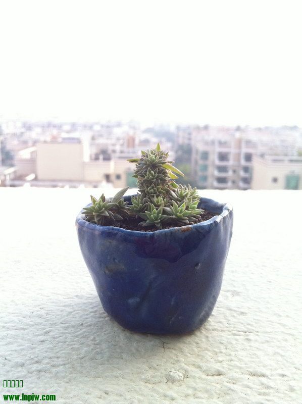 2014_10.JPG