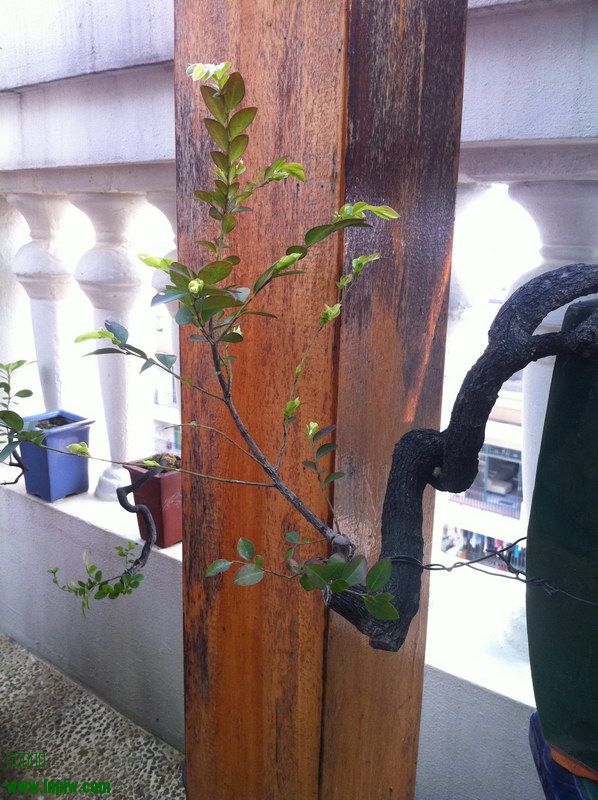 2014_12.JPG