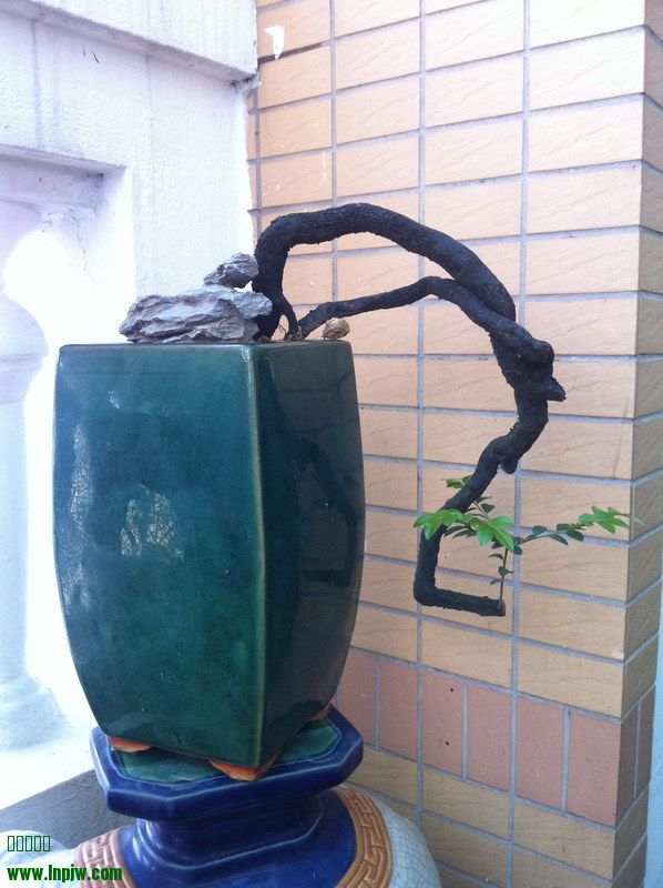 2014_13.JPG