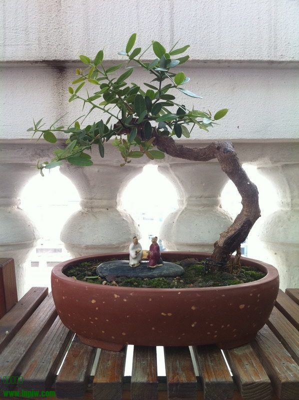2014_14.JPG