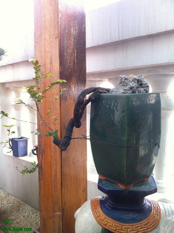 2014_11.JPG