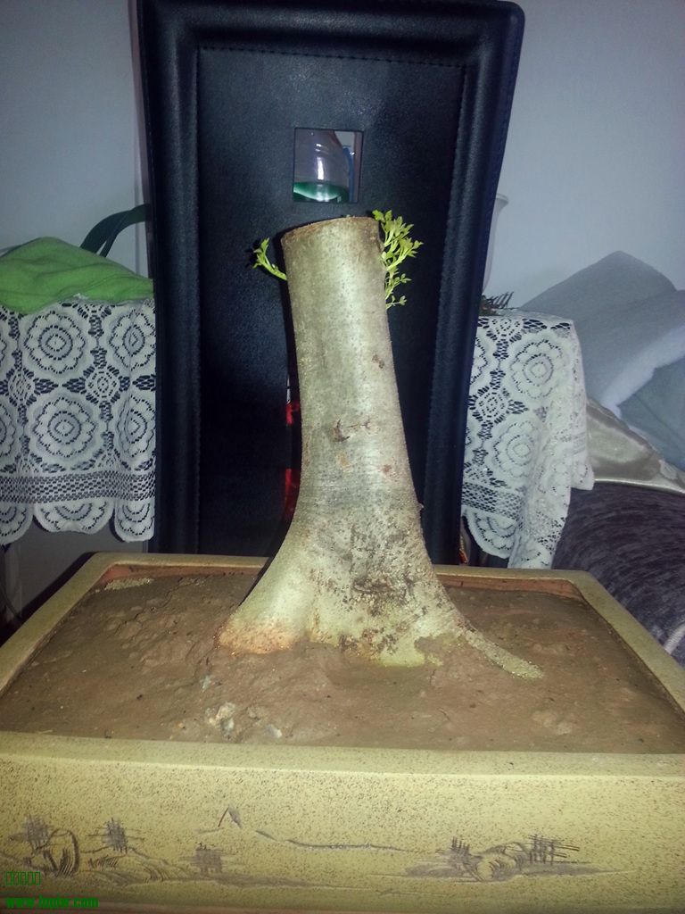 20140404_092418__.jpg