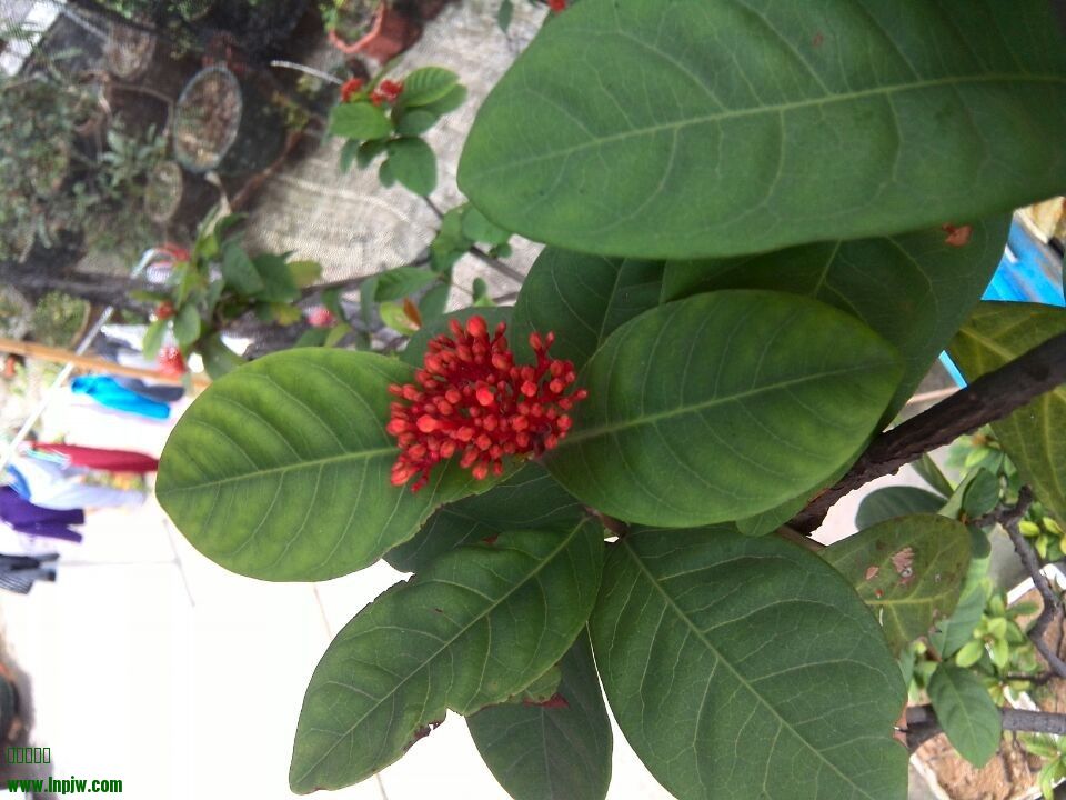 QQͼƬ20140404152304.jpg