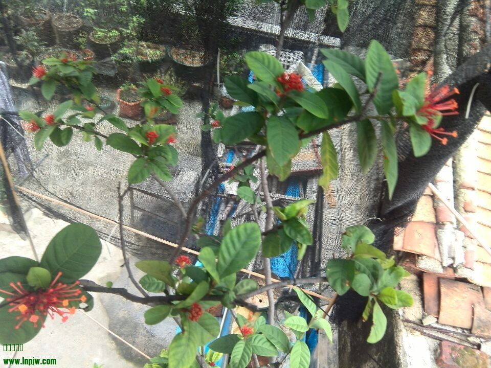 QQͼƬ20140404152322.jpg