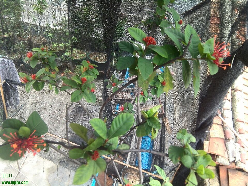 QQͼƬ20140404152327.jpg