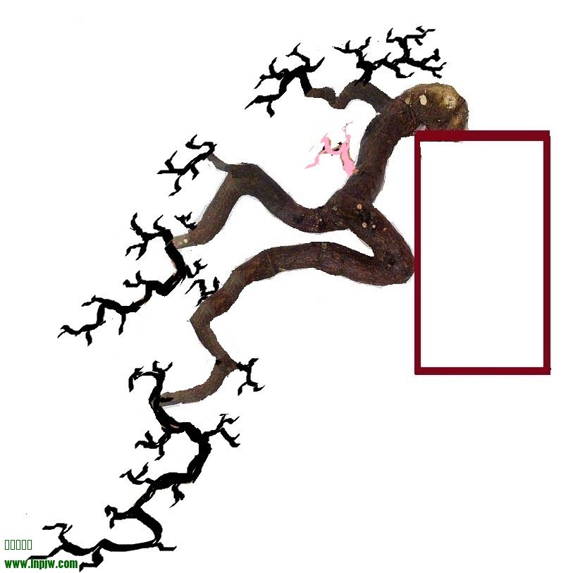 235252rljjgqxlwjz0o8vh_jpg_thumb.jpg