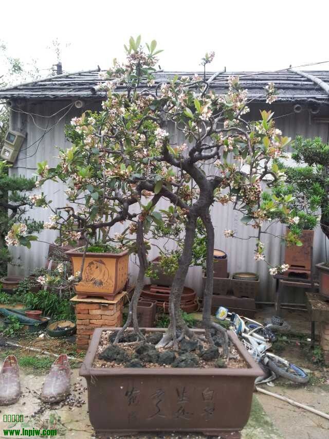 QQͼƬ20140404180900.jpg