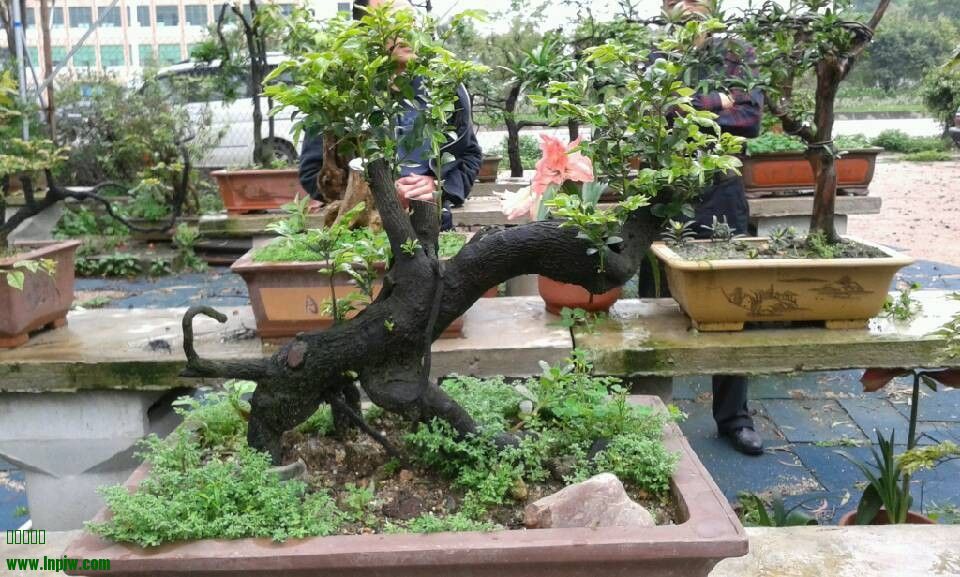 QQͼƬ20140404180904.jpg