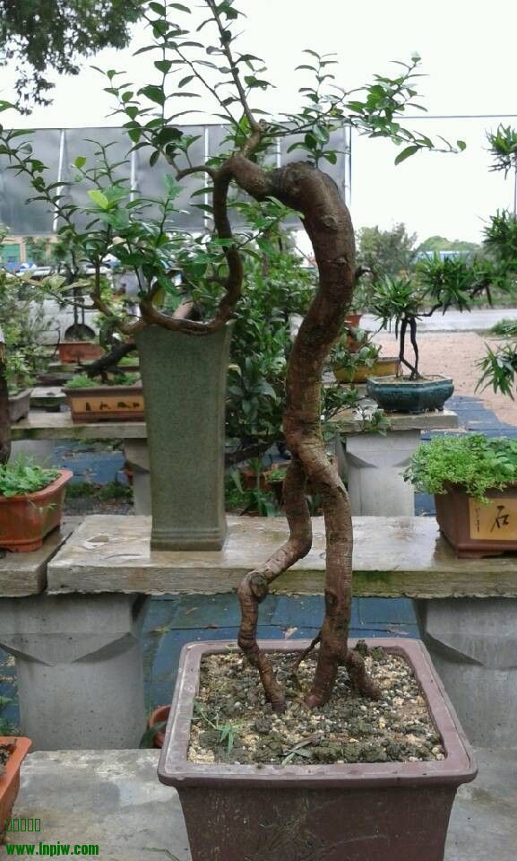 QQͼƬ20140404180907.jpg