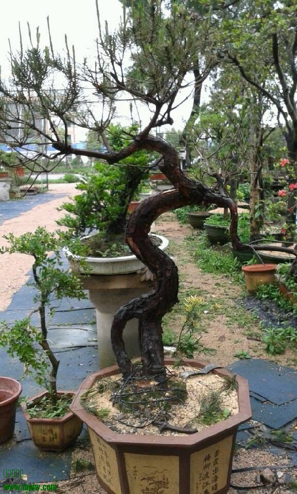QQͼƬ20140404180915.jpg
