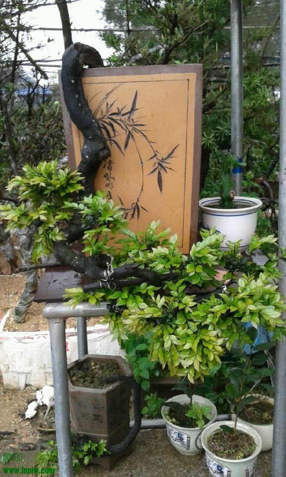 QQͼƬ20140404180920.jpg