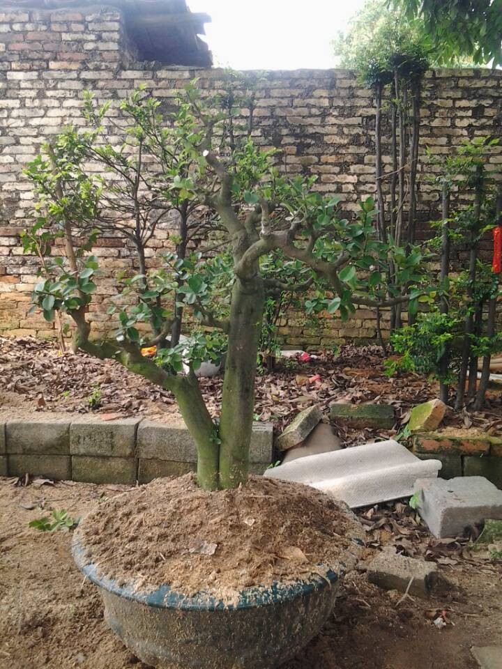 QQͼƬ20140404195044.jpg