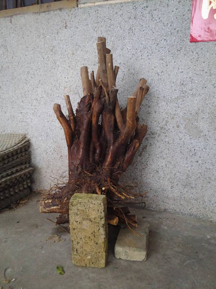 QQͼƬ20140404195040.jpg