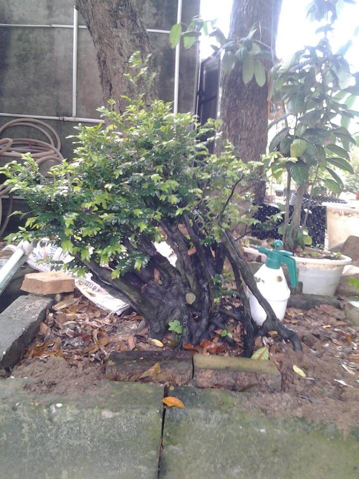 QQͼƬ20140404195031.jpg