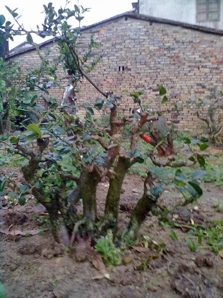 QQͼƬ20140404200904.jpg