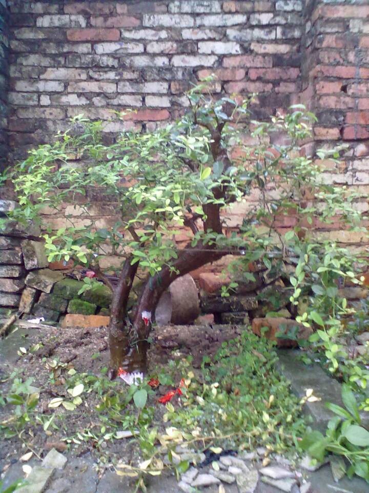 QQͼƬ20140404200901.jpg