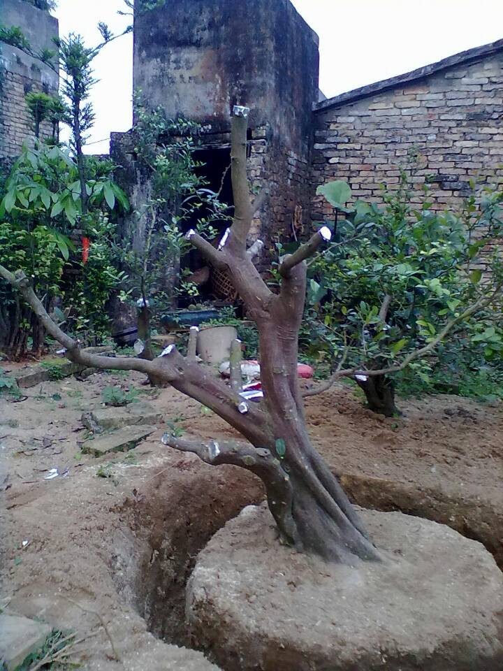 QQͼƬ20140404200840.jpg
