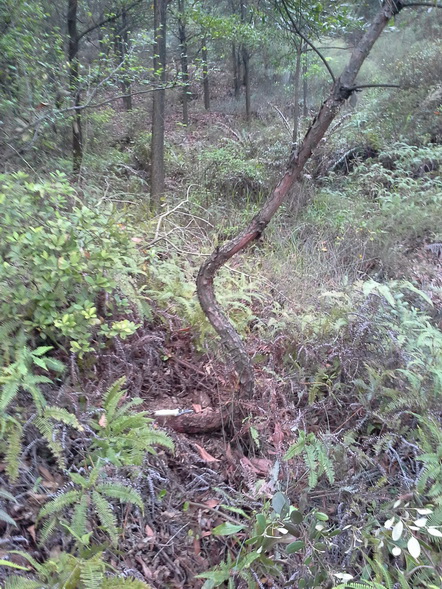 20140404_175358_С.jpg