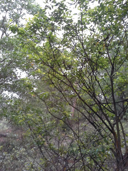 20140404_180444_С.jpg