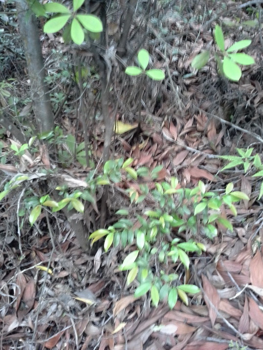 20140404_180450_С.jpg