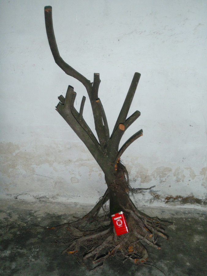 P4040007_С.jpg