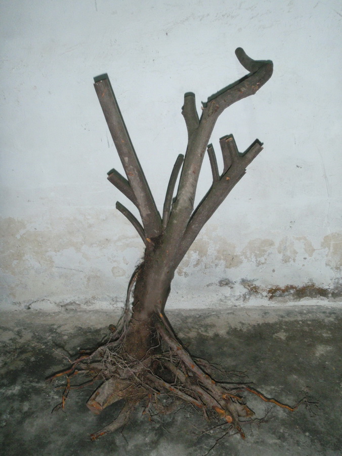 P4040009_С.JPG