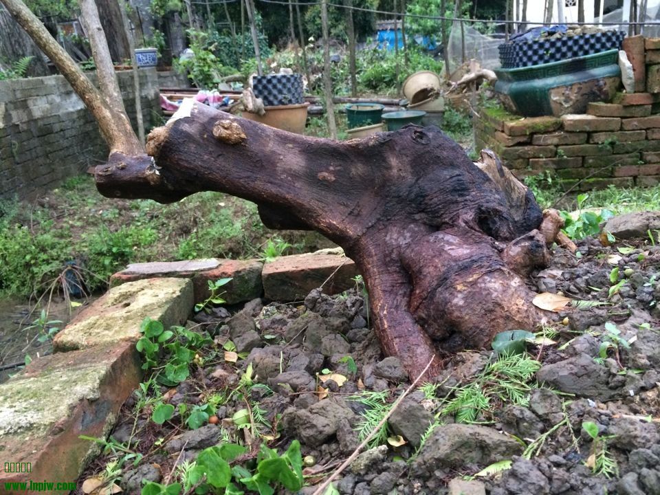 QQͼƬ20140404215701.jpg