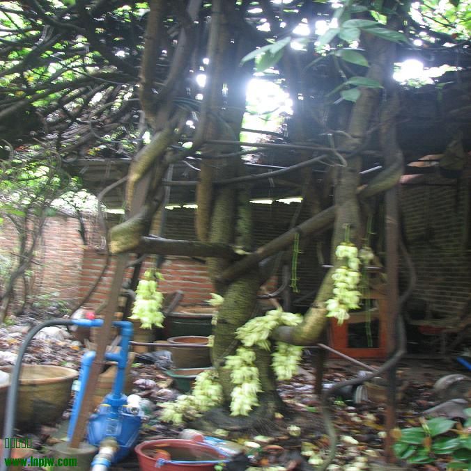 IMG_5315.JPG