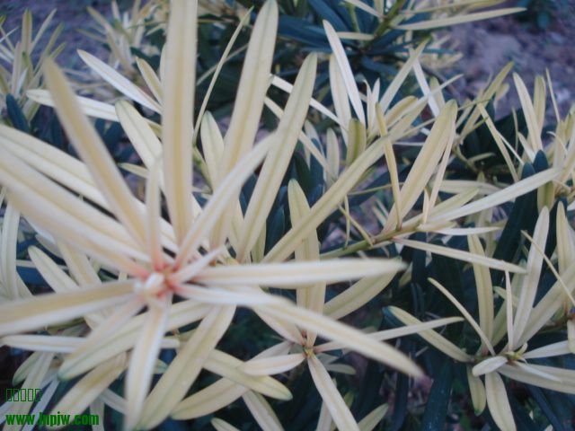 DSC01638.JPG