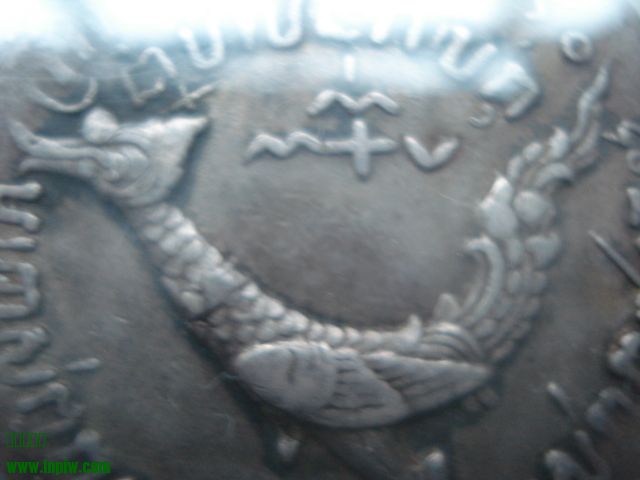 DSC01636.JPG