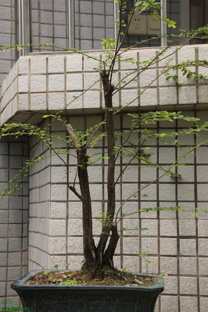 Ƭ 022.jpg