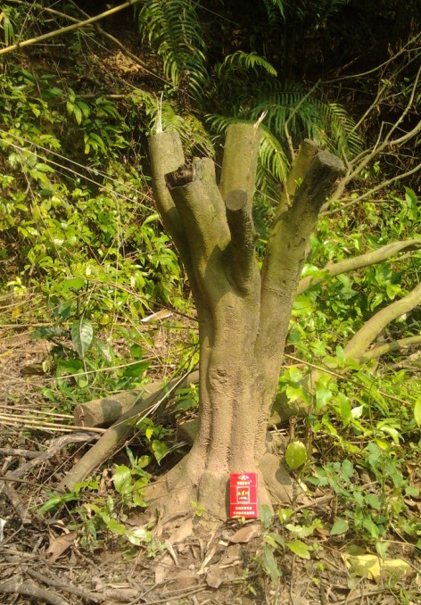 QQͼƬ20140405165533.jpg