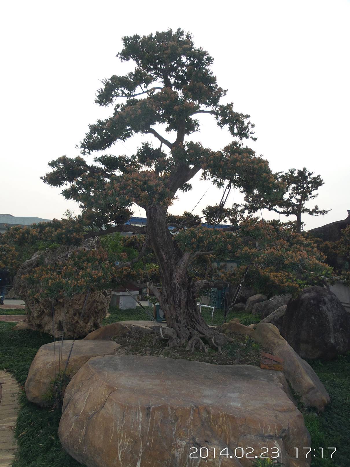 20140223_171721.jpg