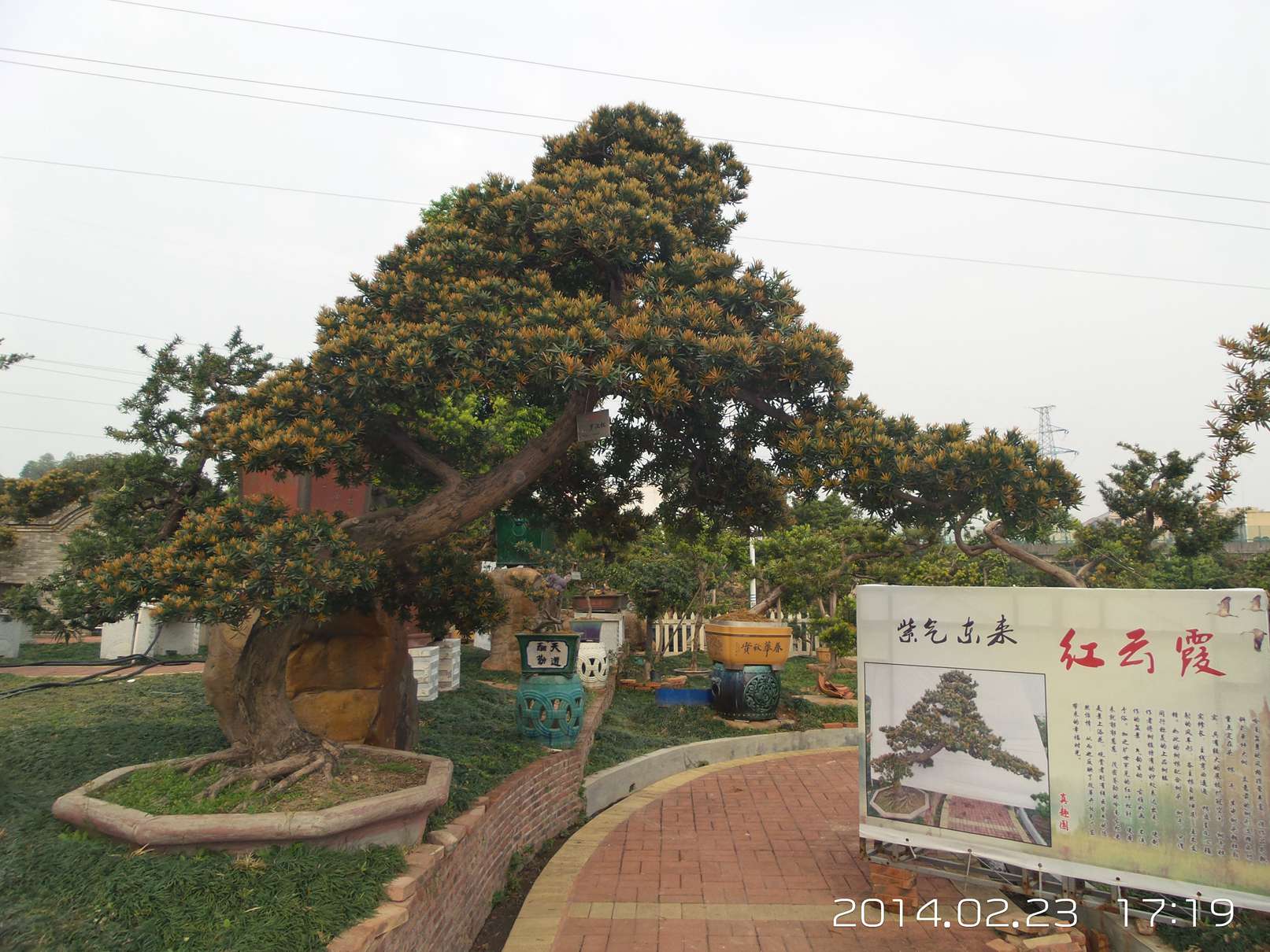 20140223_171907.jpg