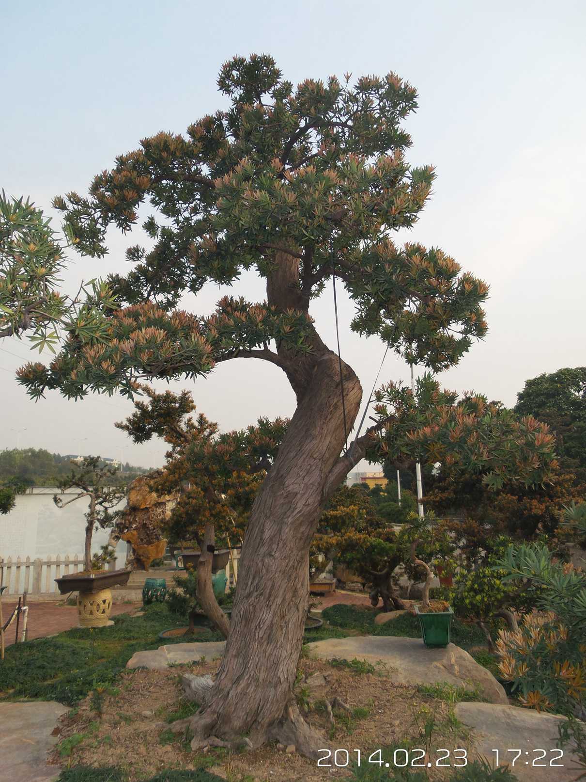 20140223_172220.jpg