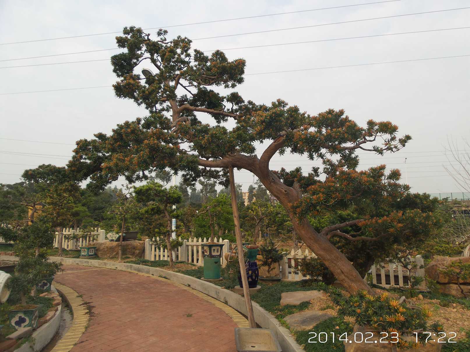 20140223_172250.jpg