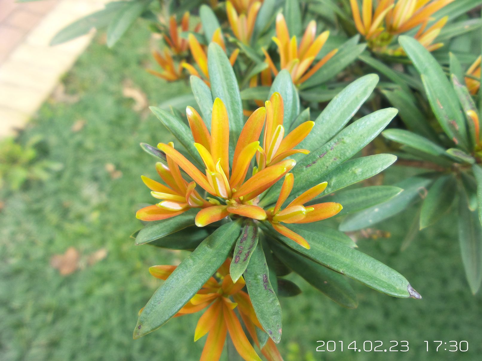20140223_173040.jpg