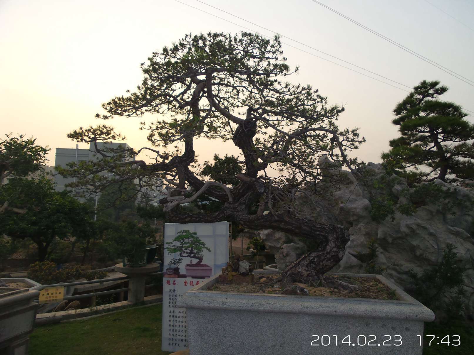 20140223_174315.jpg
