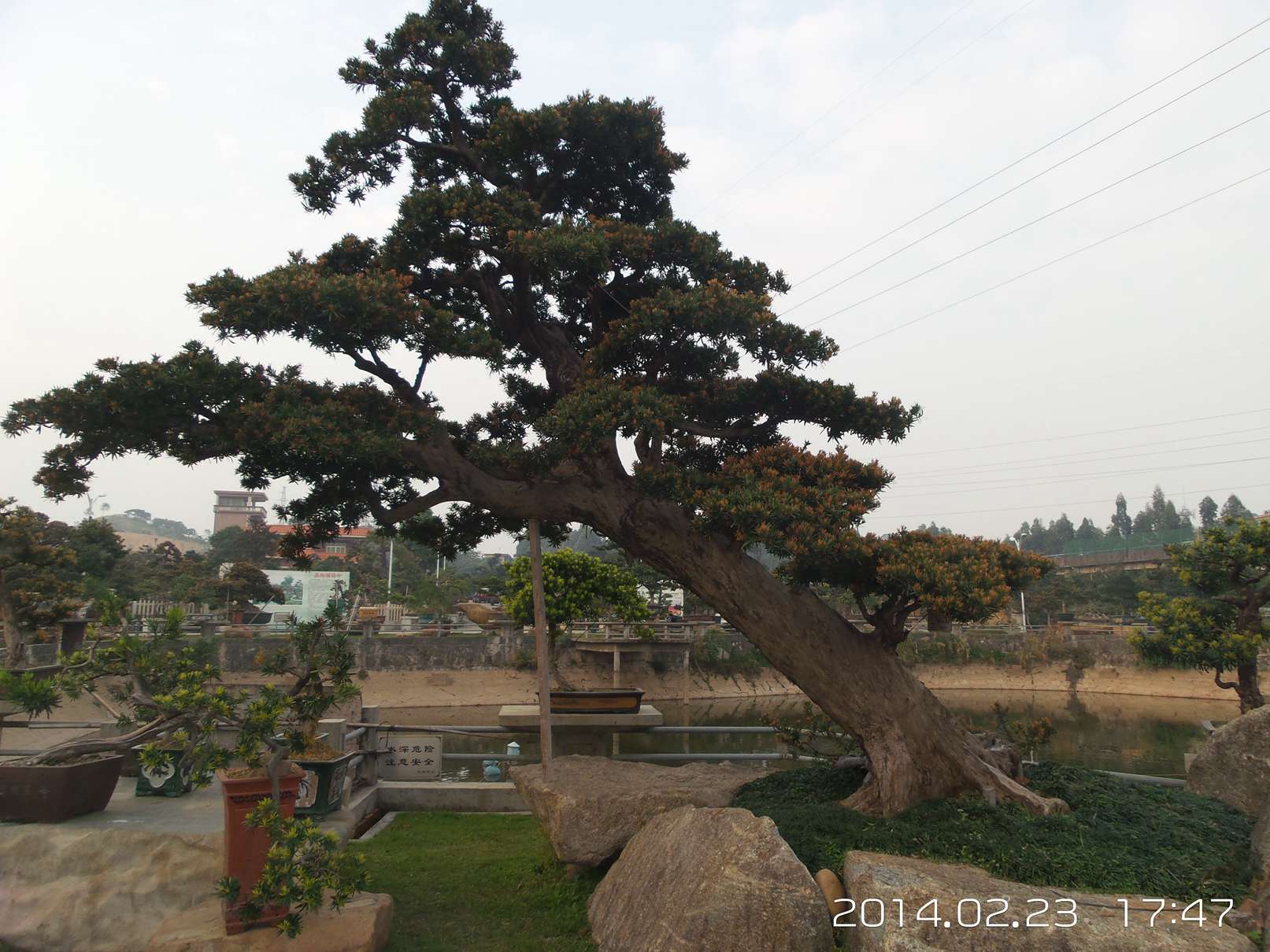 20140223_174700.jpg
