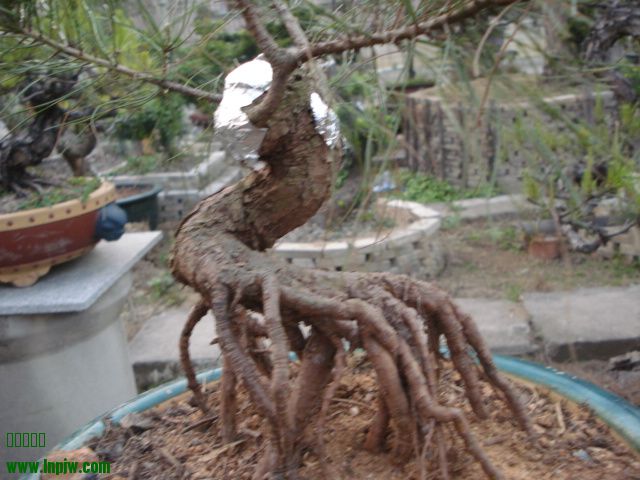 DSC01642.JPG